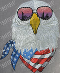 Patriotic Eagle (Two skylines New York / San Francisco)