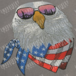 Patriotic Eagle (Two skylines New York / San Francisco)